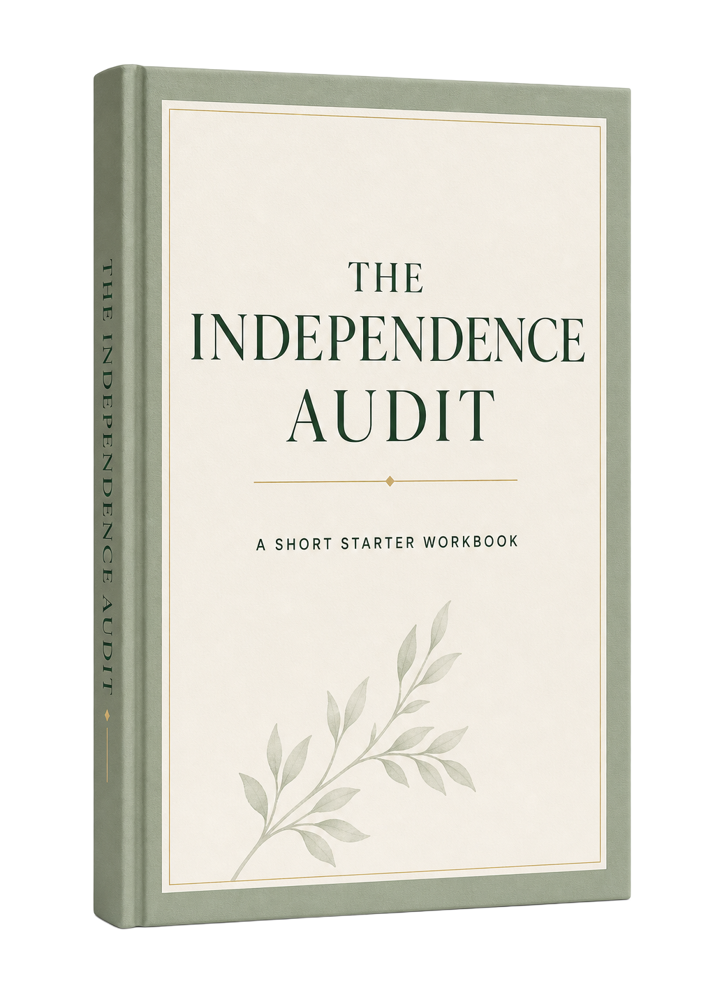 Cover of The Independence Audit